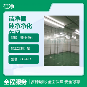浙江洁净棚 硅净净化 万级无尘室改造