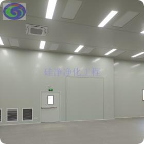 澄照乡无尘室/景宁净化工程/硅净净化供应