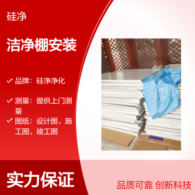 浙江洁净棚/丽水洁净车间/景宁无尘室
